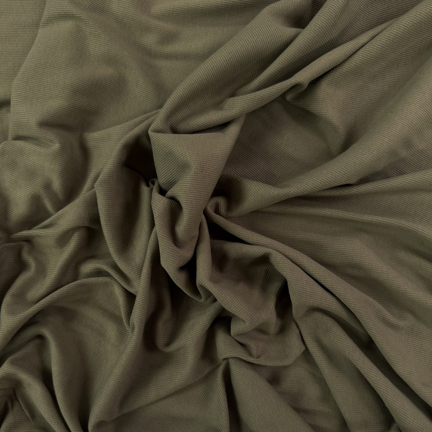 Organic Cotton 2×2 Rib - Olive