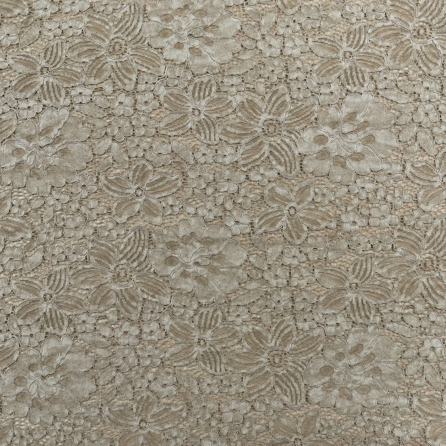 Vintage Dream Floral Lace - Nylon/Cotton/Rayon - Gold Taupe