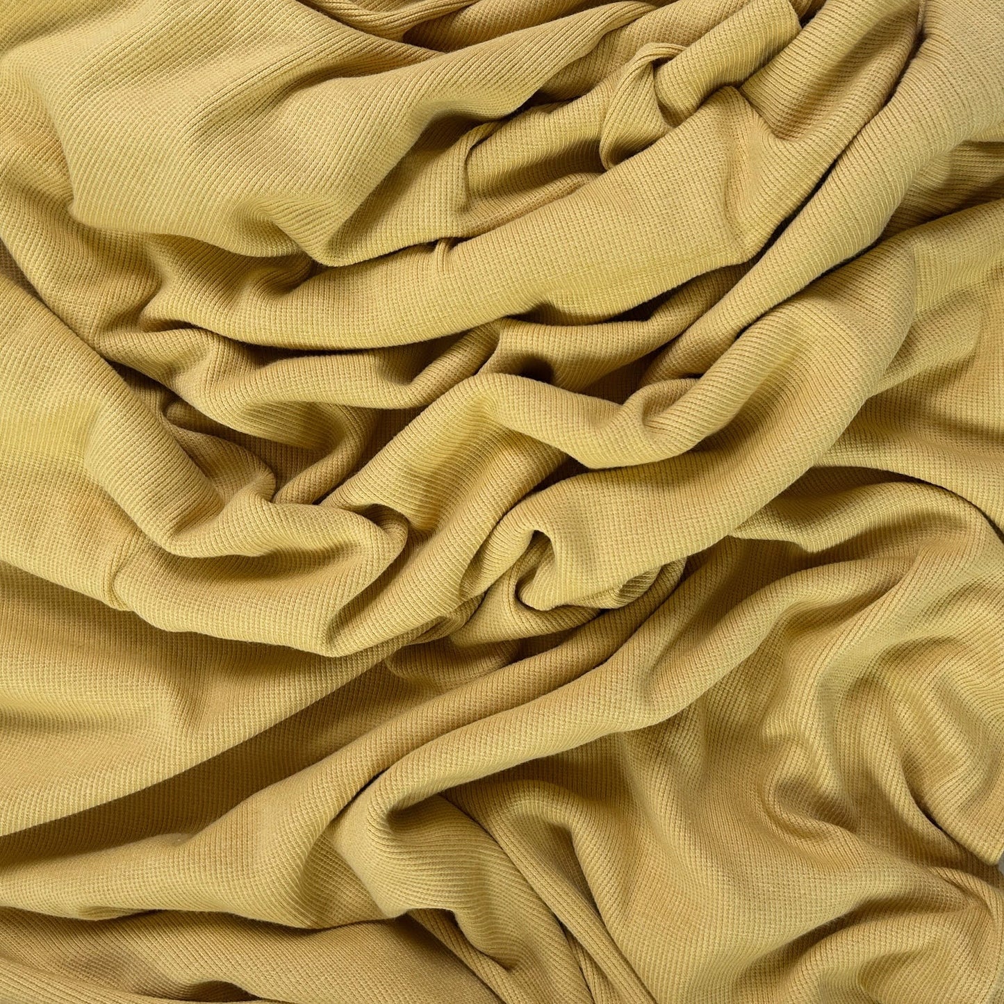 Bamboo Cotton Rib 2x2 - Golden Yellow - Ribbed Knit