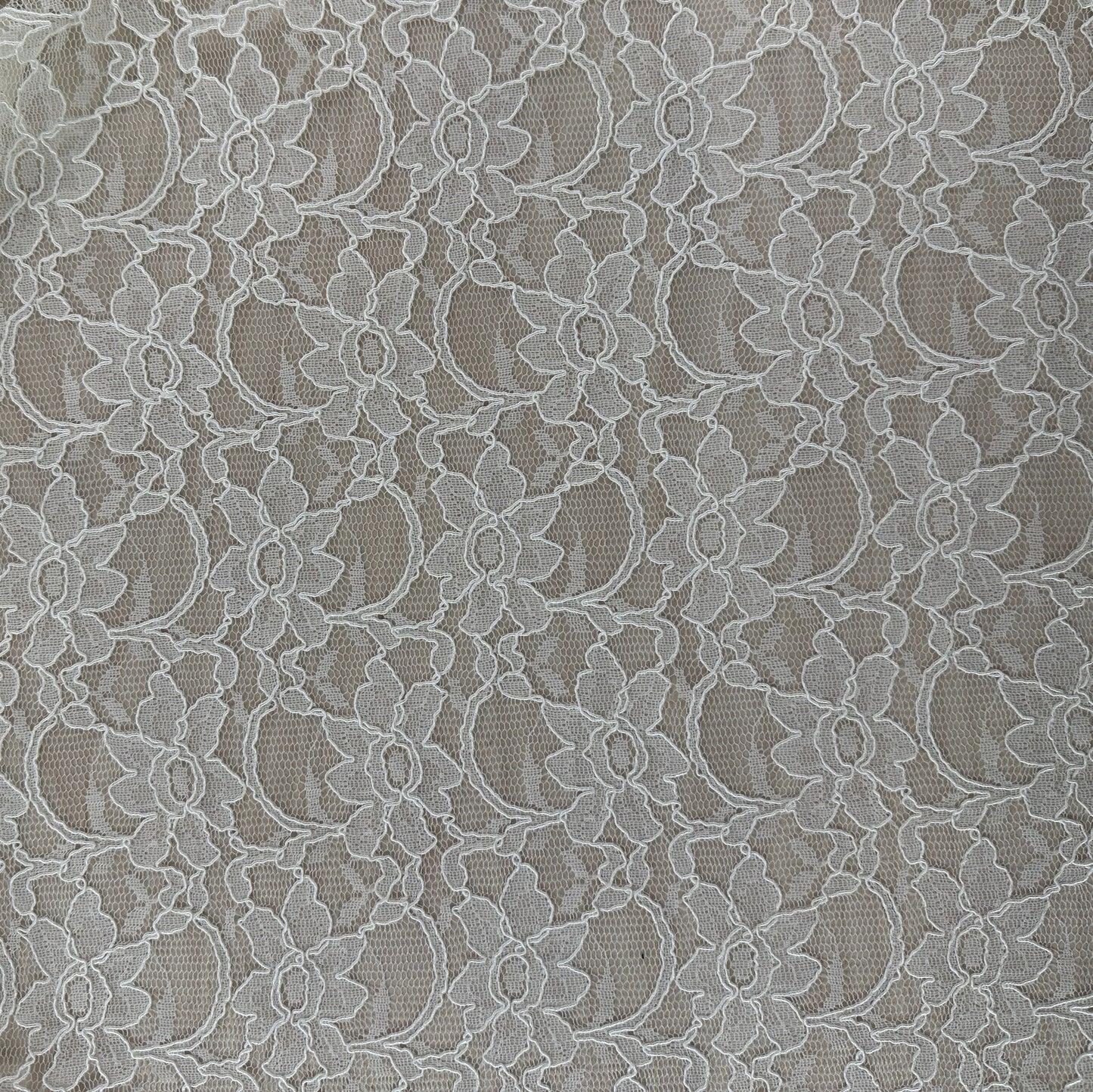 Corded Floral Lace - Nylon Cotton - Ivory