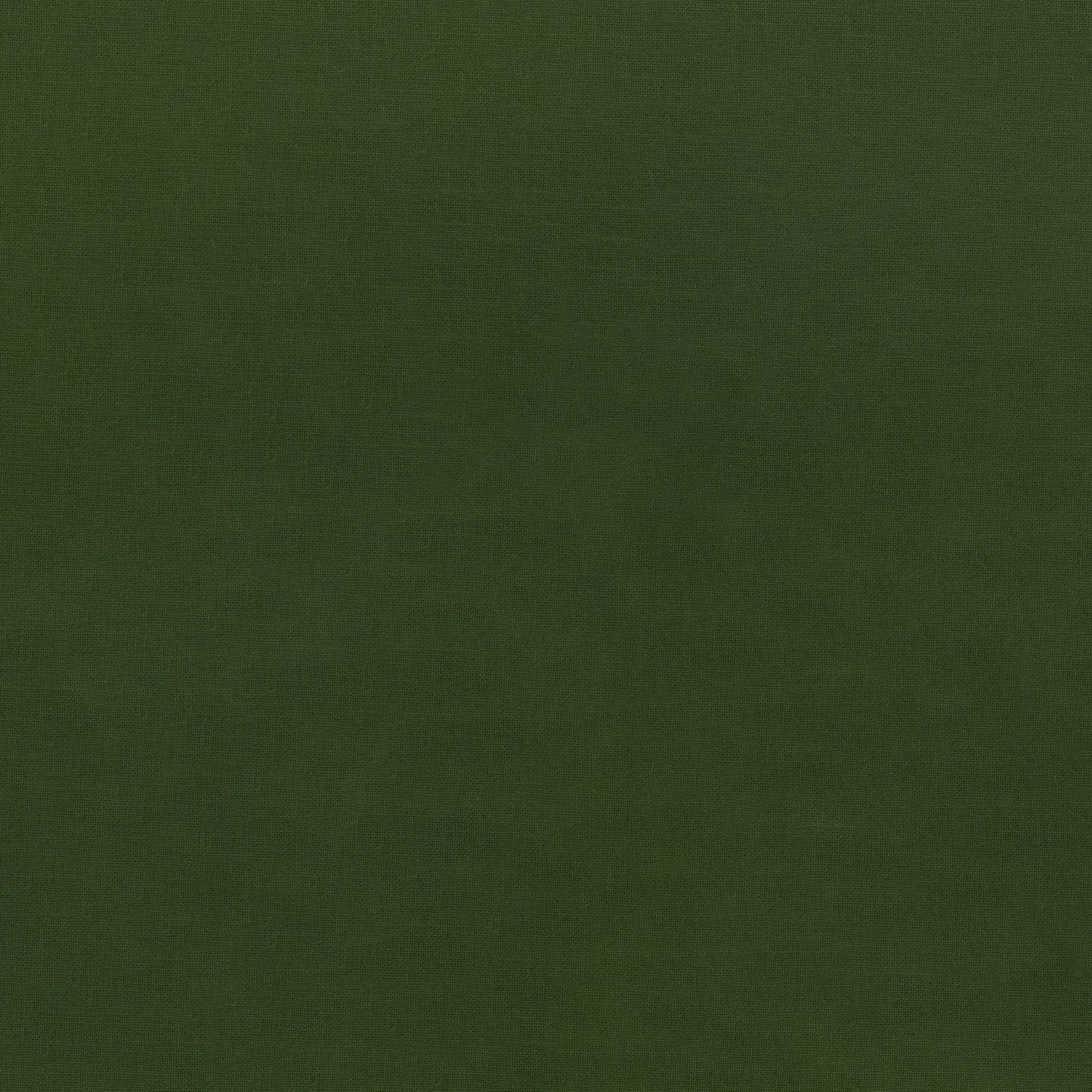 Silky Cotton Solids Japanese Quilting Fabric - Ivy