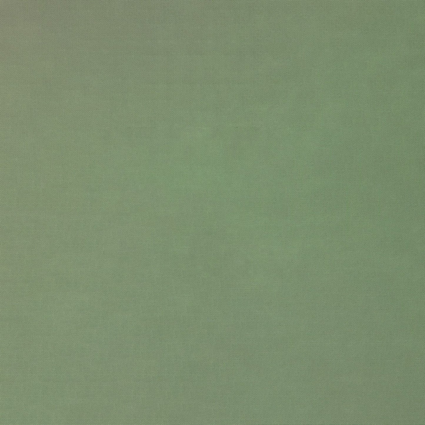 Silky Cotton Solids Japanese Quilting Fabric - Sage Green