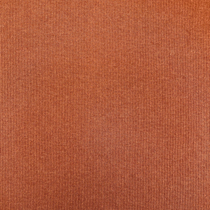 TENCEL™ Lyocell Organic Cotton 2x2 Ribbed Knit - Allspice