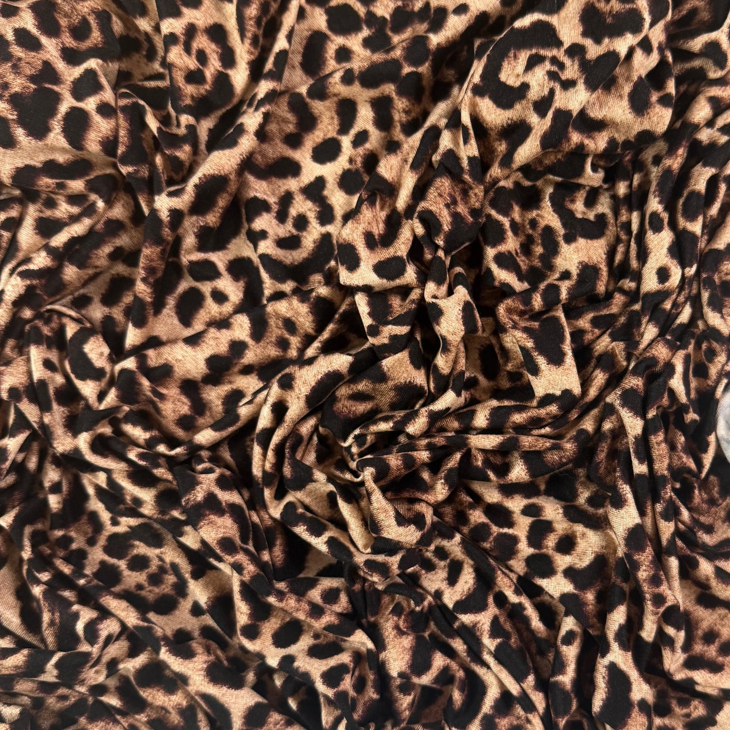 Modal Jersey Knit - Leopard Print