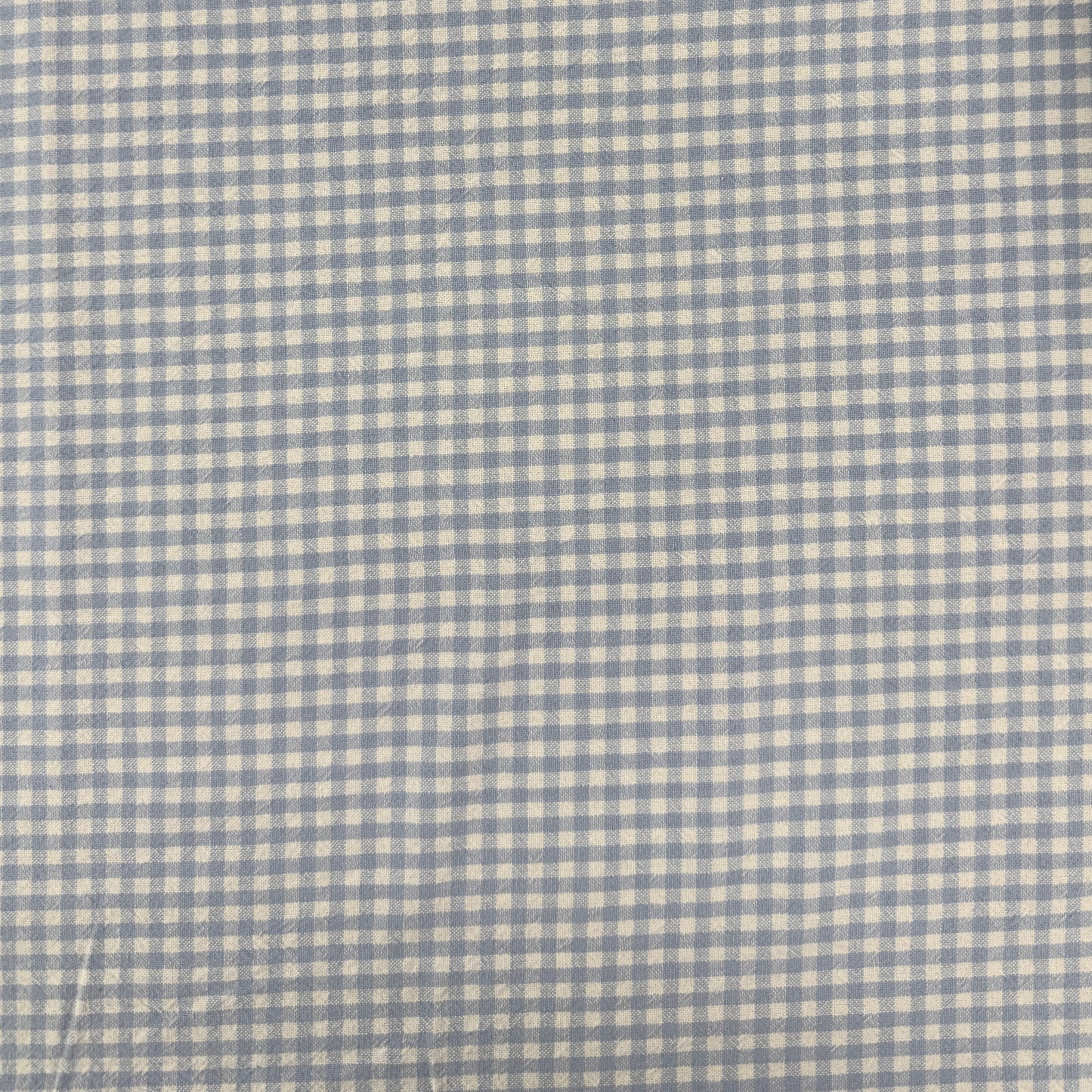 Organic Yarn Dyed Cotton - Powder Blue Gingham