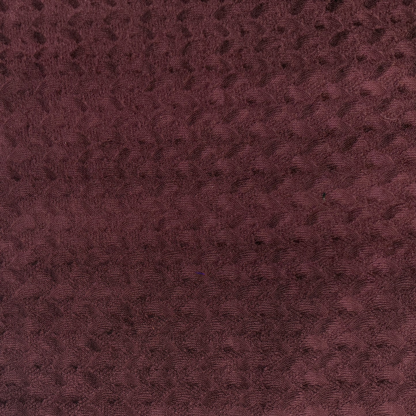 Sculpted Cotton Velvet - Wine - Deadstock
