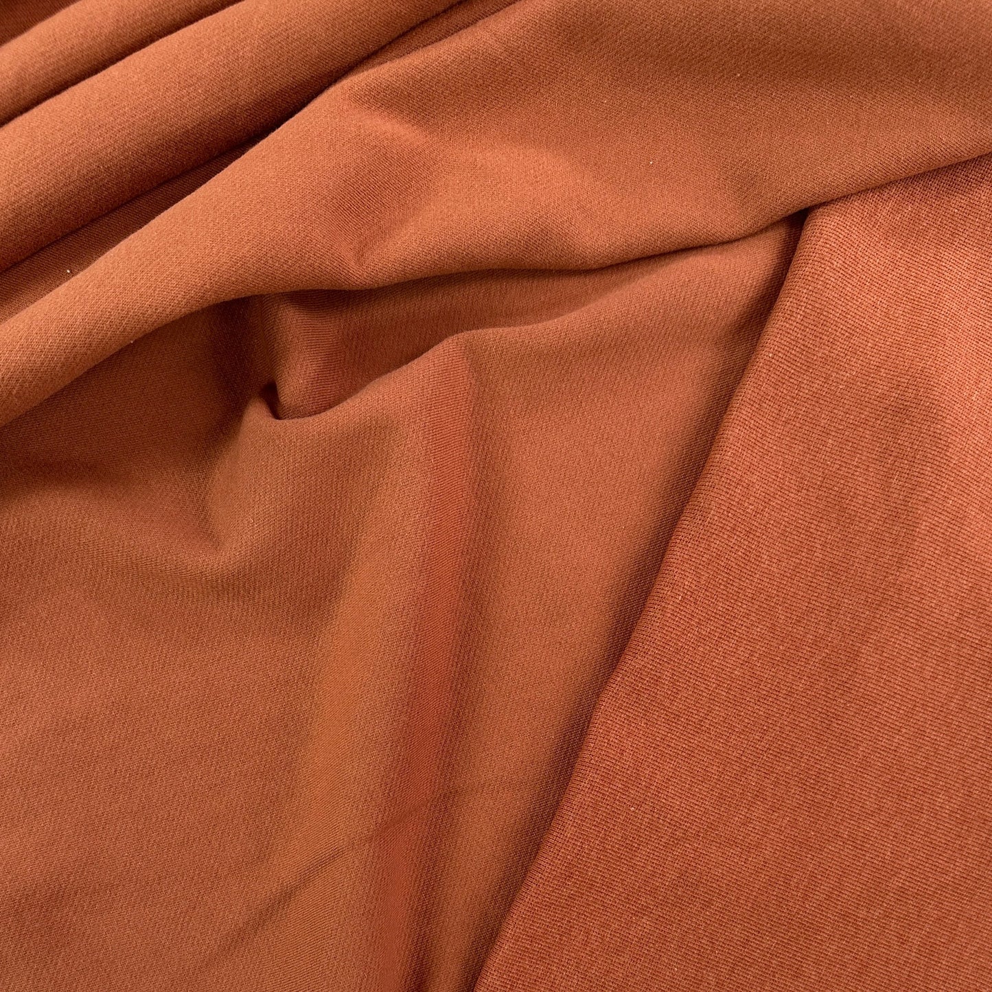 Organic Cotton Twill Face Fleece Knit - Allspice