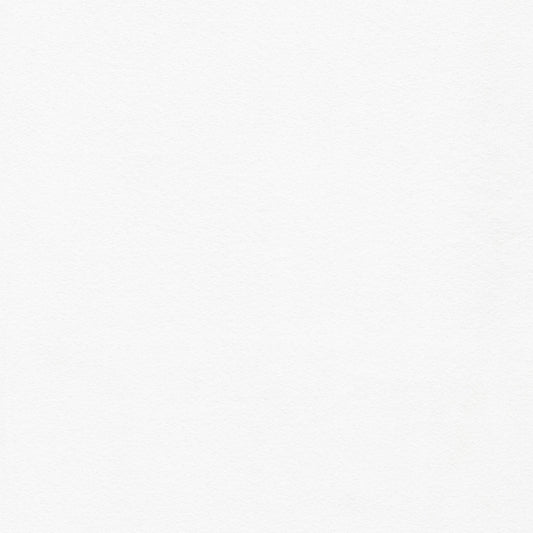 Flannel Solid - Mammoth Flannel ORGANIC - PFD White